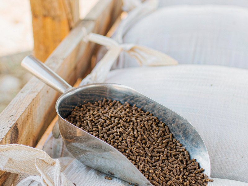 Animal Nutrition & Feed Ingredients